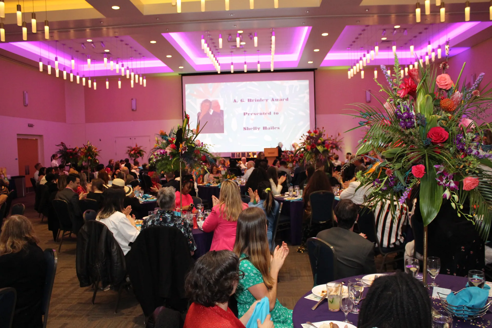 Installation Gala in Davis, California